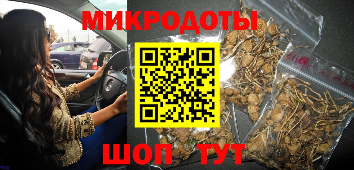 Галлюциногенные грибы Cubensis Борзя