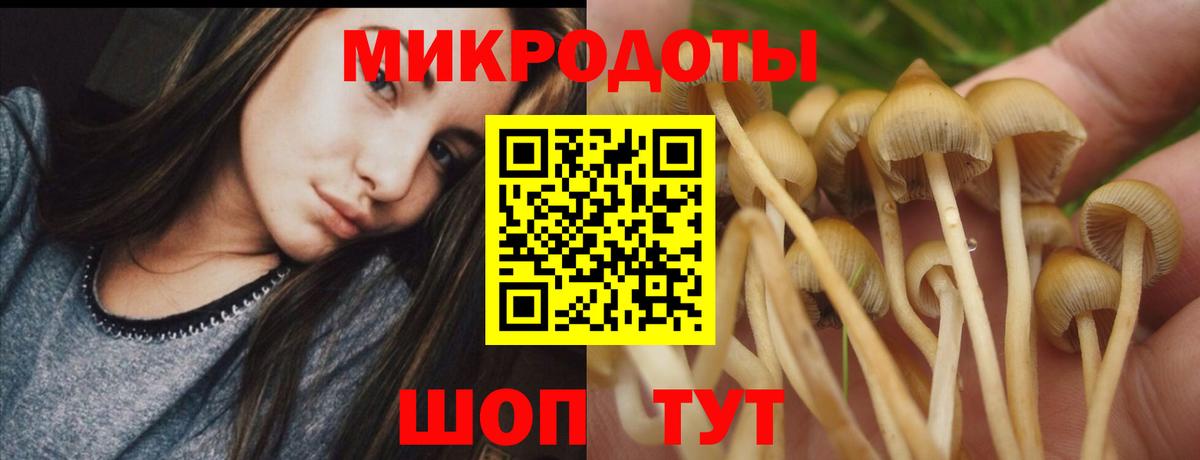 Галлюциногенные грибы GOLDEN TEACHER  Вход с VPN  Псилоцибиновые грибы MAGIC MUSHROOMS  Борзя 